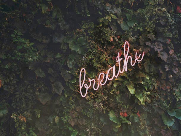 A cursive neon sign says breathe against a background of dense foliage.